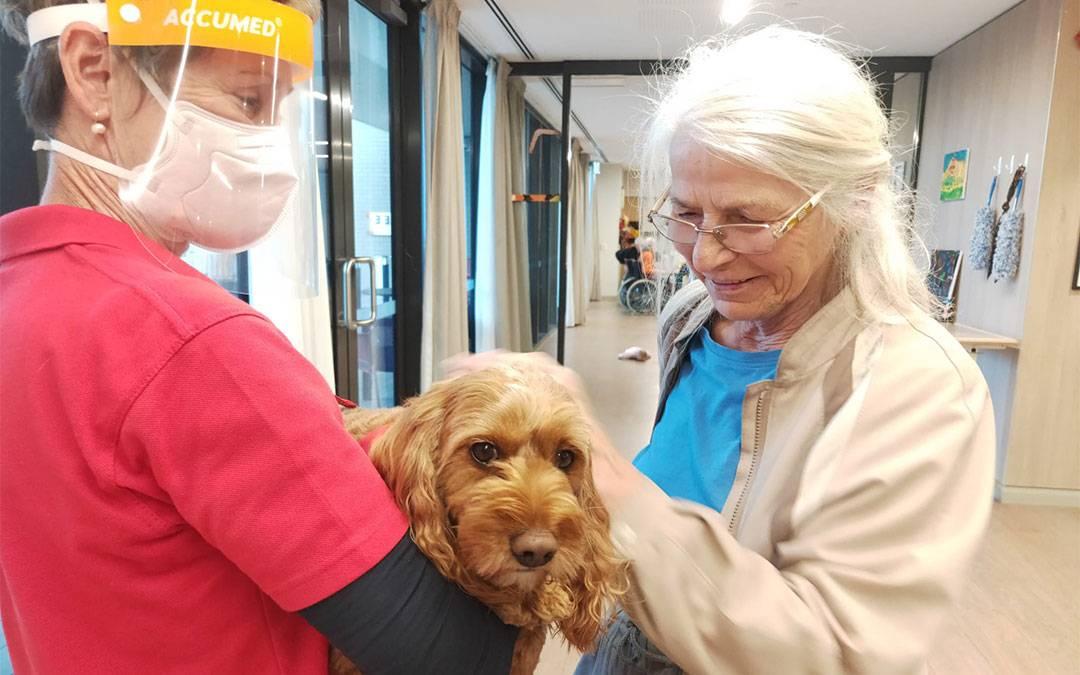 Seniors’ Four-Legged Friend is Paw-Fect